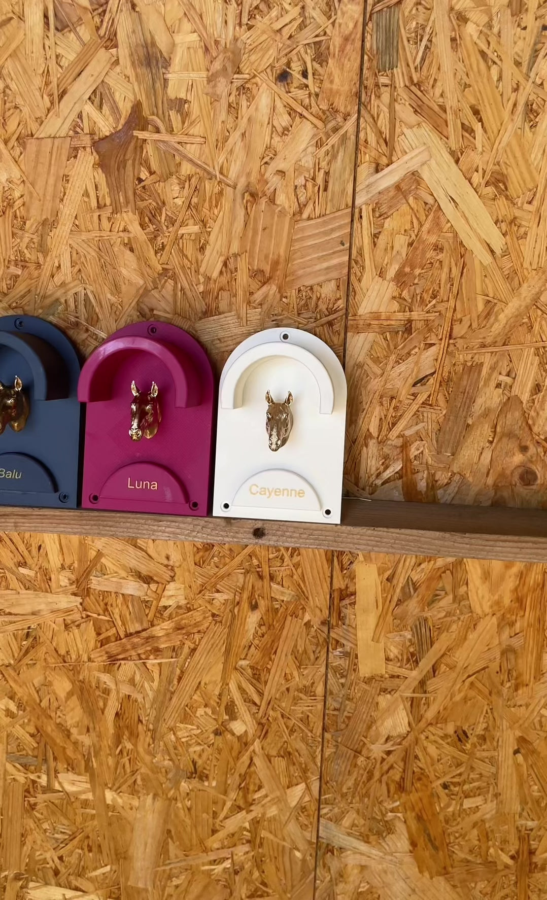 Video laden: 